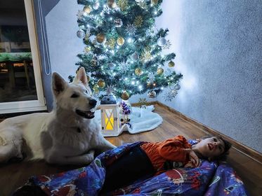 Dokonalé Vianoce 2023 - 5