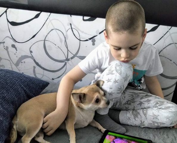 Ďalší