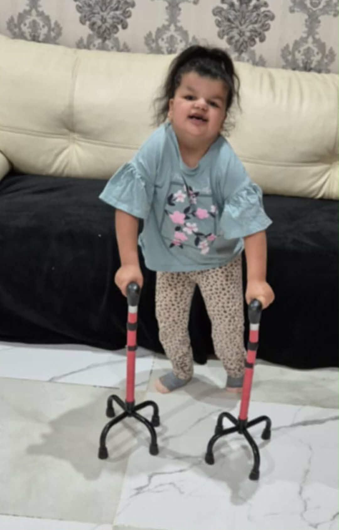 Ďalší
