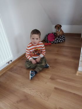 Ďalší